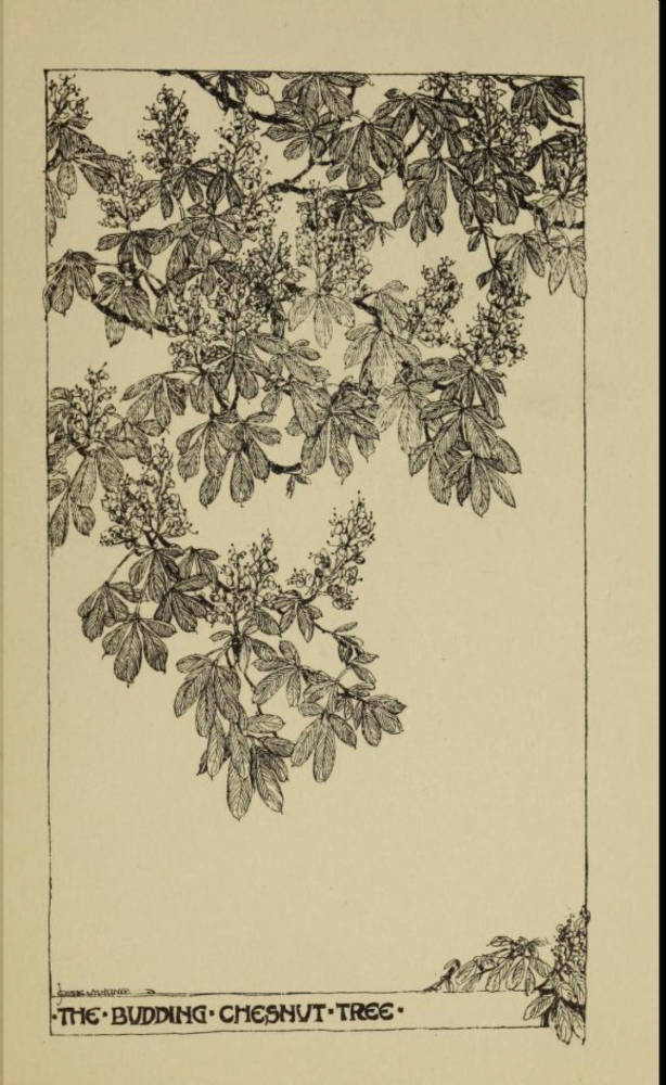 Collections of Drawings antique (10420).jpg